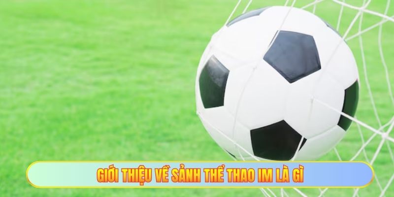 Giới thiệu về sảnh thể thao IM là gì