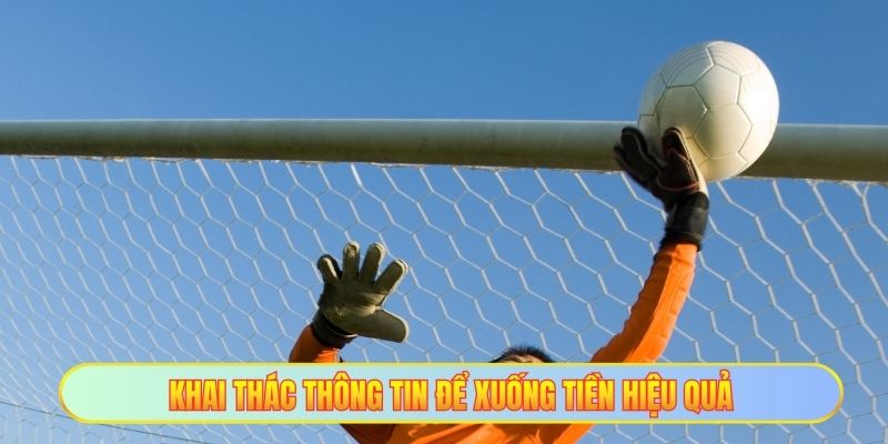 Khai thác thông tin để xuống tiền hiệu quả