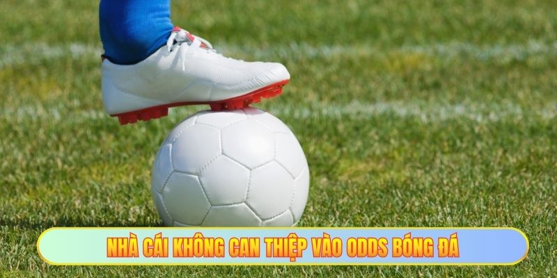 Nhà Cái Có Can Thiệp Bóng Đá Hay Không - Uy Tín Là Vàng 2 Nhà cái không can thiệp vào odds bóng đá