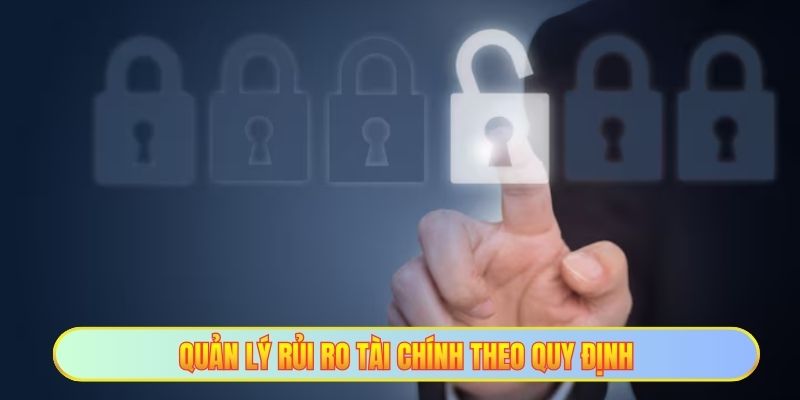 Quản lý rủi ro tài chính theo quy định