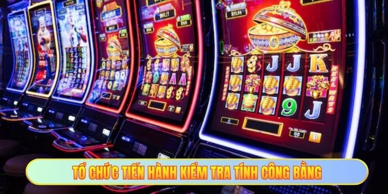 Tổ chức tiến hành kiểm tra tính công bằng